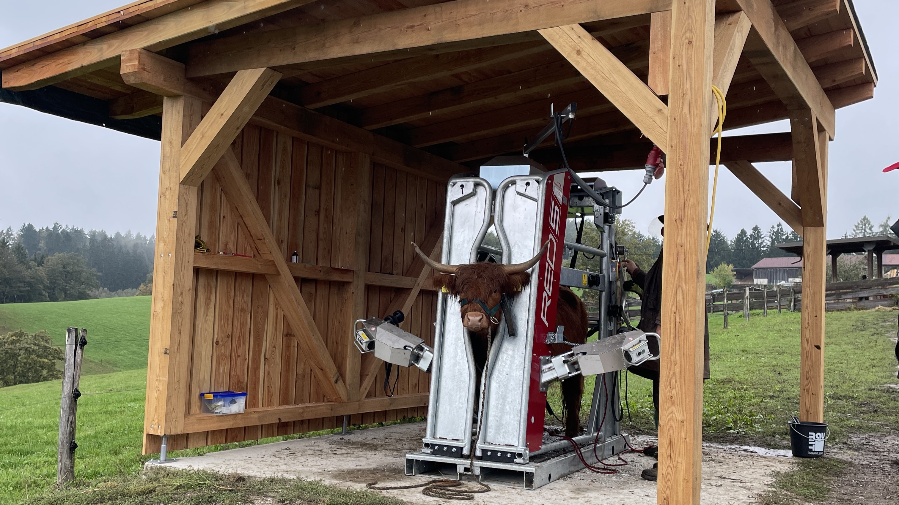 image-11627