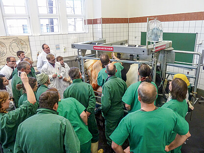 VET PRO - einfach und sicher untersucht