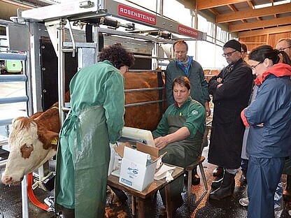 VET PRO - einfache Diagnostik - und das sofort
