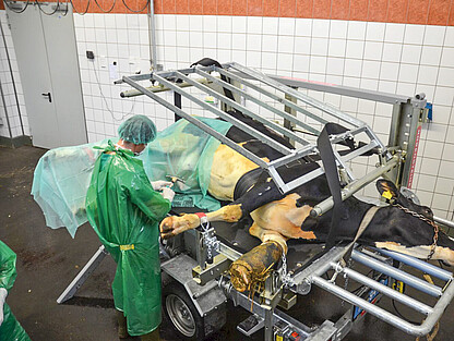 VET PRO - chirurgische Eingriffe leicht gemacht
