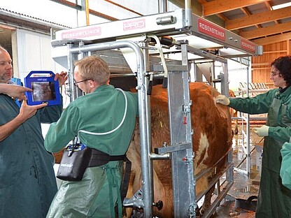 VET PRO - Untersuchungen rund um das Tier