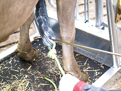 11_01