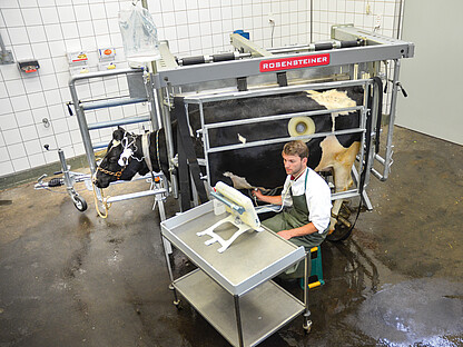 VET PRO - perfekte Diagnostik auch im Stehen