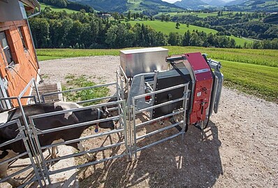 Treibgitterset "Klauenpflege Comfort", Artikel Nr. 16400 Treibgitterset