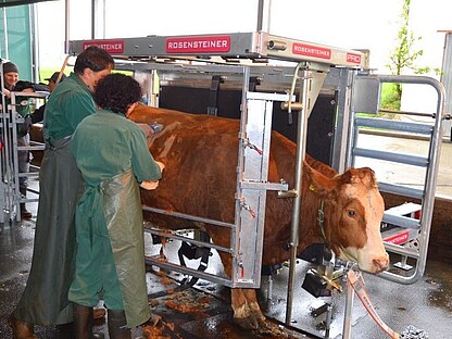 VET PRO - müheloses Vorbereiten für eine Untersuchung
