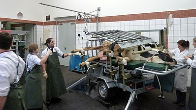 Uni_Leipzig
