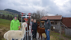 Zehenpflegestand Alpaka image-9427
